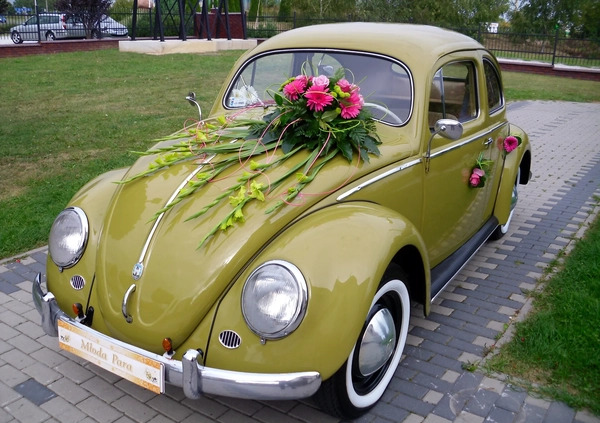Volkswagen Garbus cena 87000 przebieg: 83222, rok produkcji 1956 z Lublin małe 67